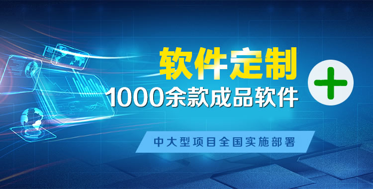 隆子软件开发